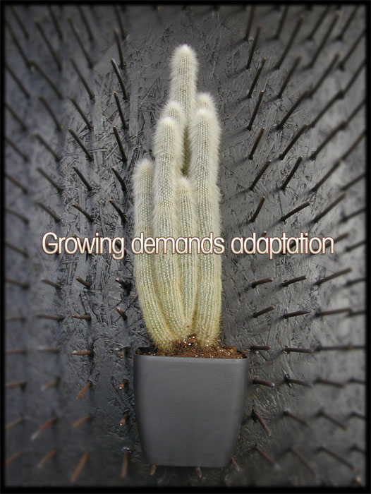 Growing demands adaptation
